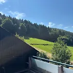 Im Schwarzwald *