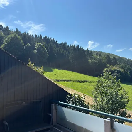 Im Schwarzwald *